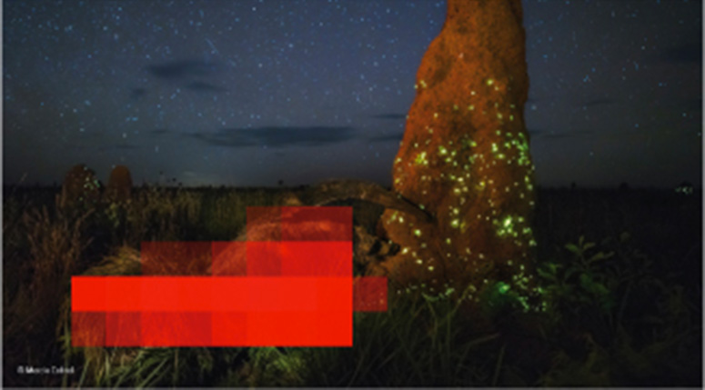 Algorithme detection images falsifiées CMLA - Image Forensic - Nikoukhah