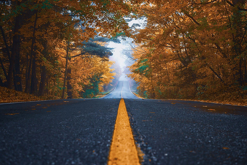 Ervin Gjata de Pixabay Ervin Gjata de Pixabay