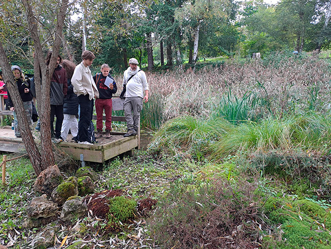 Sortie pour comprendre le fonctionnement de la mini-tourbière de la mare pédagogique du campus d'Orsay