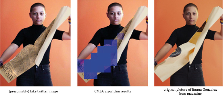 Emma_Twit-ImageForensic_CMLA-Nikoukhah_0.jpg