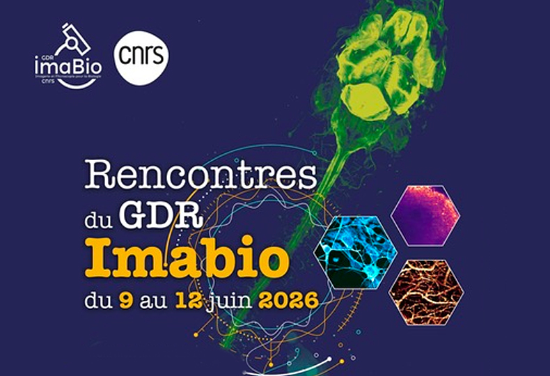 Affiche des journées de rencontre 2026 du GDR Imabio 