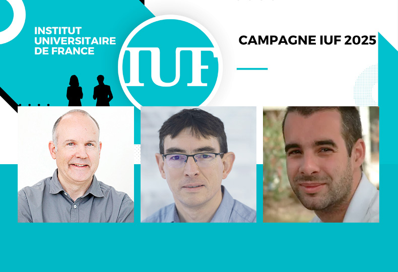 Trois professeurs de l'Ecole nommés à l’Institut universitaire de France en 2025