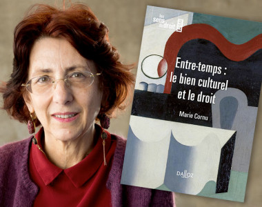 Marie Cornu, Entre-temps : le bien culturel et le droit
