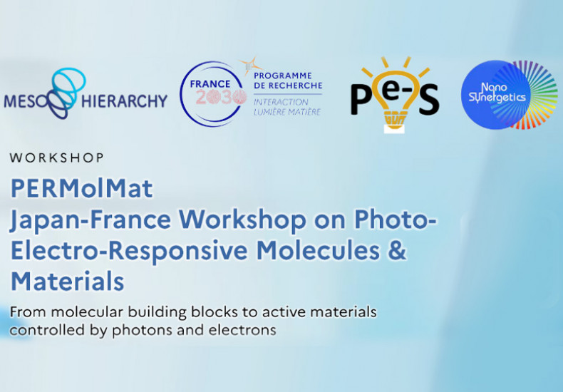 workshop “Molecules and materials stimulated by photons (light) and electrons (electricity)” at ENS Paris-Saclay