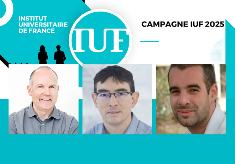 Trois professeurs de l'Ecole nommés à l’Institut universitaire de France en 2025