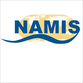 Logo de NAMIS (Nano and Micro Systems)